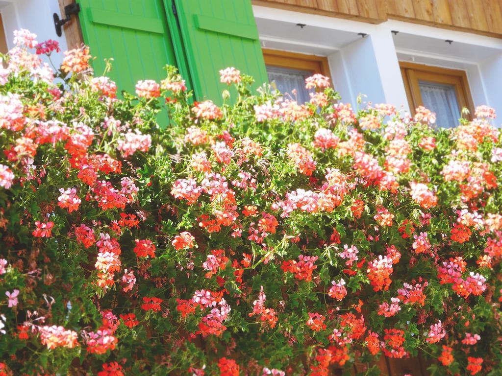 B & B Apartments Ortlerblick Sluderno Luaran gambar