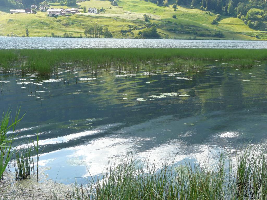 B & B Apartments Ortlerblick Sluderno Luaran gambar